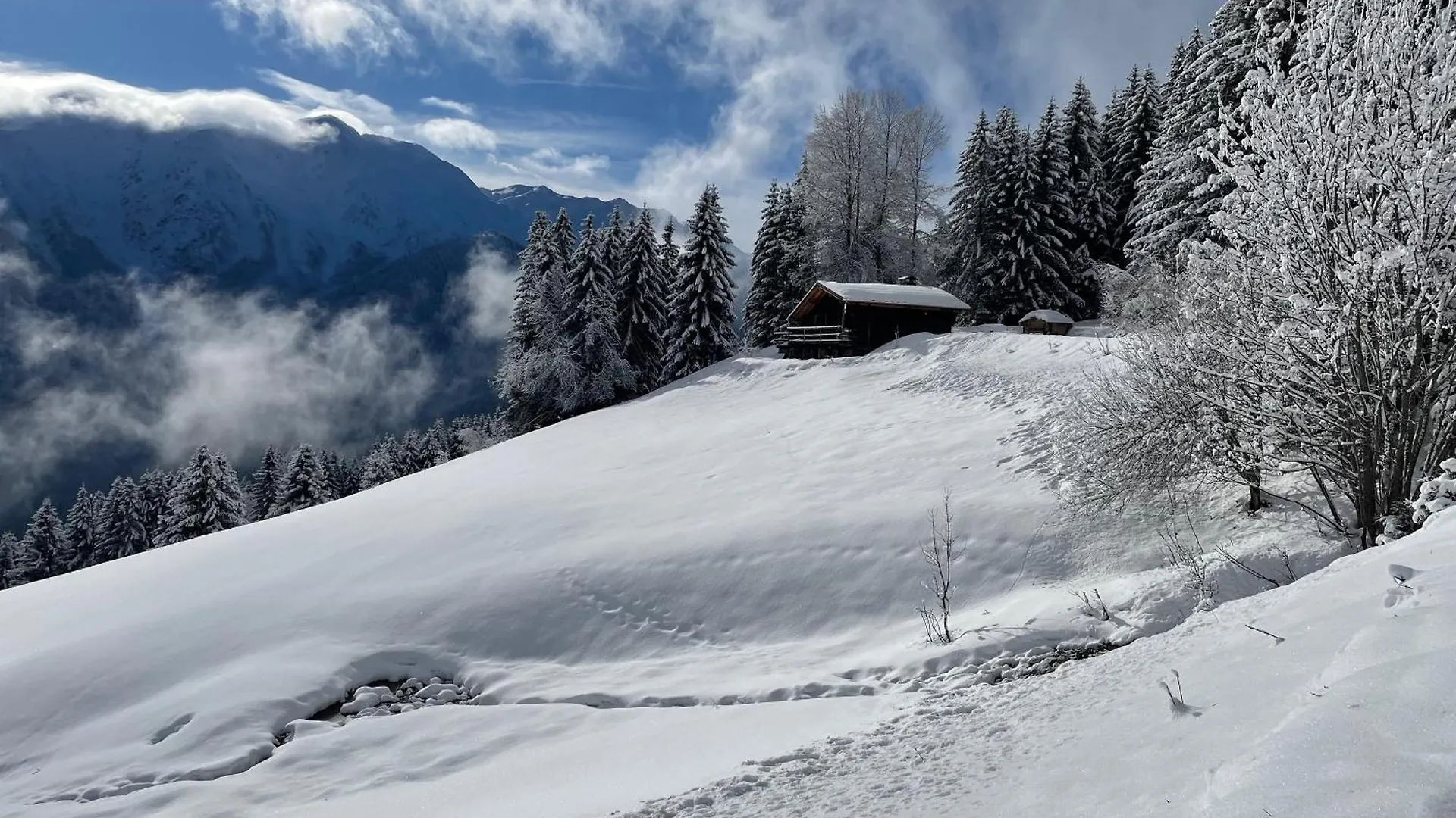 Le Petit Erable - Vue Mont Blanc Apartment Villard-sur-Doron